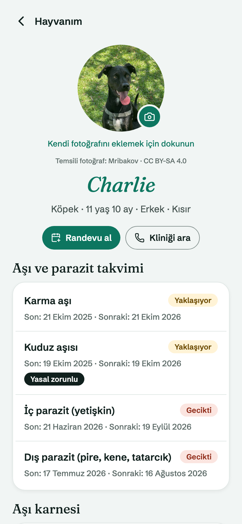 Uygulamada hayvan sayfası: fotoğraf, aşı ve parazit takvimi